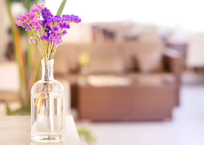 The Sky - Adults Only Готель Кала-Ратхада