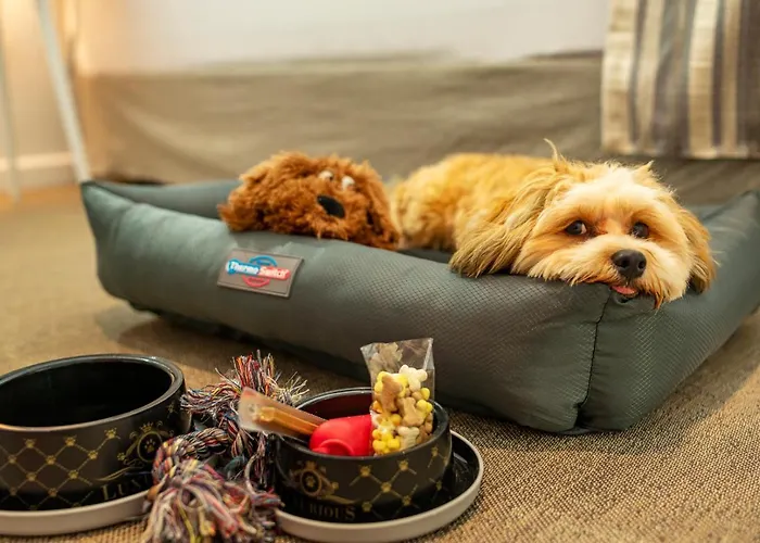 The Sky - Adults Only 4* Cala Ratjada (Mallorca)